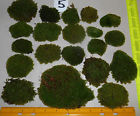 5 Unbranded 20pc Asst Live Natural