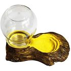 5041796965833 Omem Reptile Terrarium Bowls