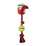 51040nf  Mammoth Flossy Chews Color Tug With Mini Tennis 746772510407