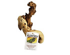 52003 Fluker S Flukers Iguana 716184481145