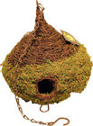 7598344 56010 Galapagos Mossy Hide Raindrop 759834560104