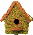 7598348 56012 Galapagos Mossy Hide Maison With Chain 759834560128