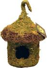 7598347 56019 Galapagos Mossy Hide Rimmed Bungalow 759834560197
