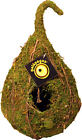 56026 Galapagos Mossy Hide Vined Raindrop 759834560265