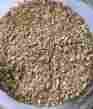 5lbsmealworm Bedding Dirtcheapworms Mealworm