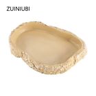 6000049374050 Zuiniubi Reptile Tortoise Water