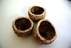 611192292946 Ourico Pod Brazil Nut