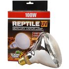 613706898057 Lucky Herp Reptile Uva