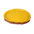614024584998 Senzeal Resin Reptile Feeding