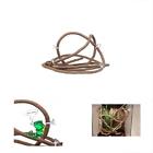 614324195474 Habitat Dcor Jungle Vines Pet Decor Sunction Cups