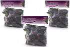638339155230 Flukers Repta Vines-purple Coleus