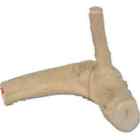 644472000009 Java Wood Reptile Branch