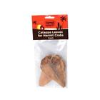 91197660290 66029 Flukers Catappa Leaves For Hermit Crabs Per Pack