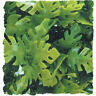 679694 Zoo Med Laboratories New Green Natural Bush Amazonian 097612180114