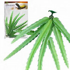 68591 Zilla Desert Series Stapelia