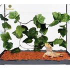 688977506918 Sungrow Natural Looking Reptile Plants Vibrant Green Terrarium