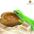 688977509391 Sungrow Reptile Food Bowl Unbreakable Half Coconut Shell