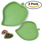 6906011857890 Terrarium Bowls Pack Leaf