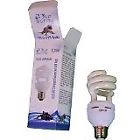 698614160045 Blue Spotted Uvb Compact Fluorescent Bulb Watt