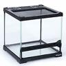 701630192263 Reptizoo Mini Reptile Glass Terrarium Tank Front Opening 701630192263 Reptizoo Mini Reptile Glass Terrarium Tank Front Opening