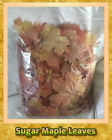 Picked-2 705911283336 Sugar Maple Leaves Terrarium-vivarium-insect