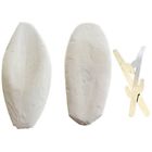 713289640767 Natural Food Cuttlefish Bone For Reptiles Tortoises Tortoise