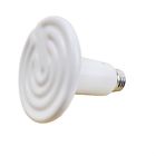 717080639562 Aiicioo 100 Watts 110v
