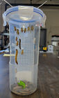 721782956353 Dbdpet Hanging Escape Proof Feeding Cup For Chameleons