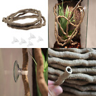 727h Small Animal Bend Branch Jungle Vine Pet Habitat 737590135873