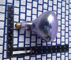 150r40 728 New Full Spectrum Neodymium Grow Light Bulb Reptile Basking Large