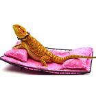 736902354223 Chaise Lounge For Bearded Dragons Pink Batik Fabric