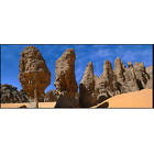 737257493827 National Geographic Desert Terrarium Accent