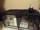 737257501683 Na Tiol Geographic Sanctuary Reptile Terrarium Size Box