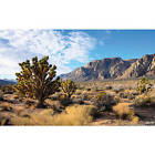 737257794771 All Living Things Desert Panorama Reptile Cling Background