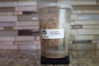 7426935466705 Undisclosed Drosophila Melanogaster Fruitfly Culture Established