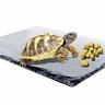 745103426806 Kathson Reptile Basking Platform Tortoise Rock Plate Turtle