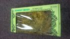 748755127305 Amg Forest Moss Frog