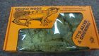 748755129804 Gecko Moss