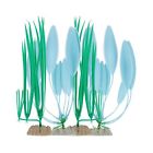 75026645 Tetra Wonderland Collection Plant 046798266457