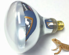 756970254232 Mycomfypets Uvb And Uva