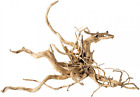 759834053194 Galapagos 05319 Spider Wood
