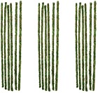 759834053200 Galapagos Mossy Terrarium Sticks 18 759834053200 Galapagos Mossy Terrarium Sticks 18