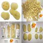 760680153273 Pack Of Hermit Crab Sea Sponges All Natural