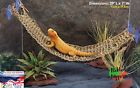 784718203068 Bearded Dragon Hammock Bed Lizard Lounge Lounger Reptile