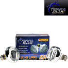789416683181 Terra Blue Professional Basking
