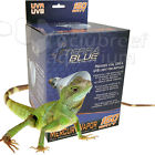 789416683426 Terra Blue Professional Watt Reptile Terrarium Sun Terrablue