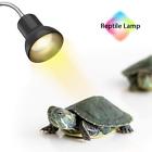 798896331451 Dadypet Reptile Light Heat Lamp For With Holder