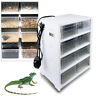 8 Grid Unbranded Transparent Insect Spiders Lizard Reptile Acrylic Pet Tank