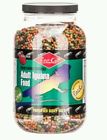 805 Rep-cal Adult Iguana Food 2.5