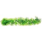 810281011684 Aquatop Bendable Fuzzy Foreground Plant Green